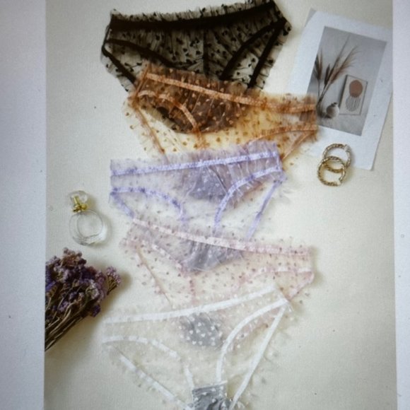 Brand New Plus 5-pack Heart Print Mesh Multicolored Panty Set (14) 1XL - Picture 1 of 5